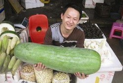 52每日大瓜视频